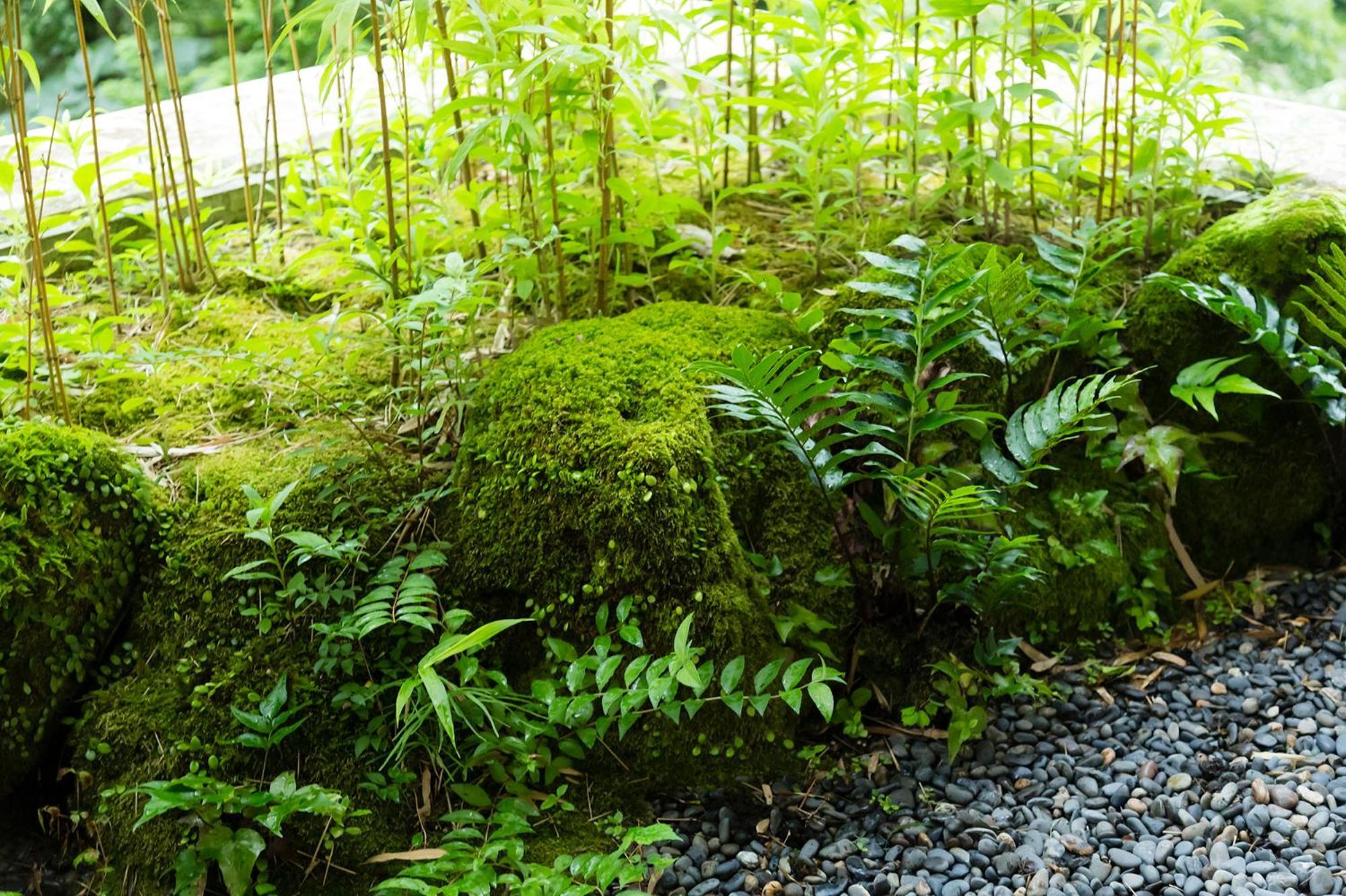 Hakone Yumoto Onsen Hotel Kajikaso Exteriér fotografie