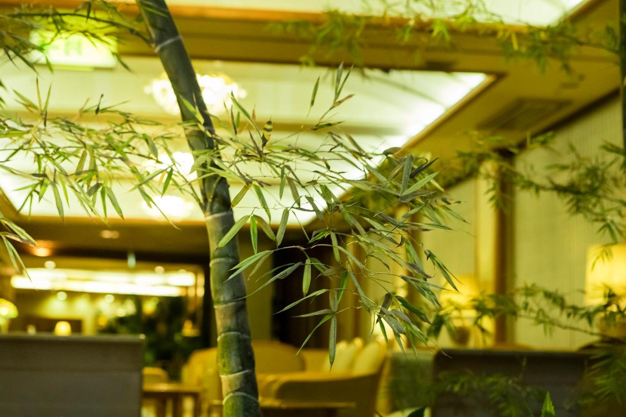 Hakone Yumoto Onsen Hotel Kajikaso Exteriér fotografie